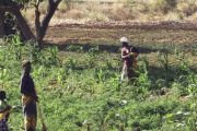 AFRIQUE DE L’OUEST : le Pafao lance un appel à projets d’agriculture familiale